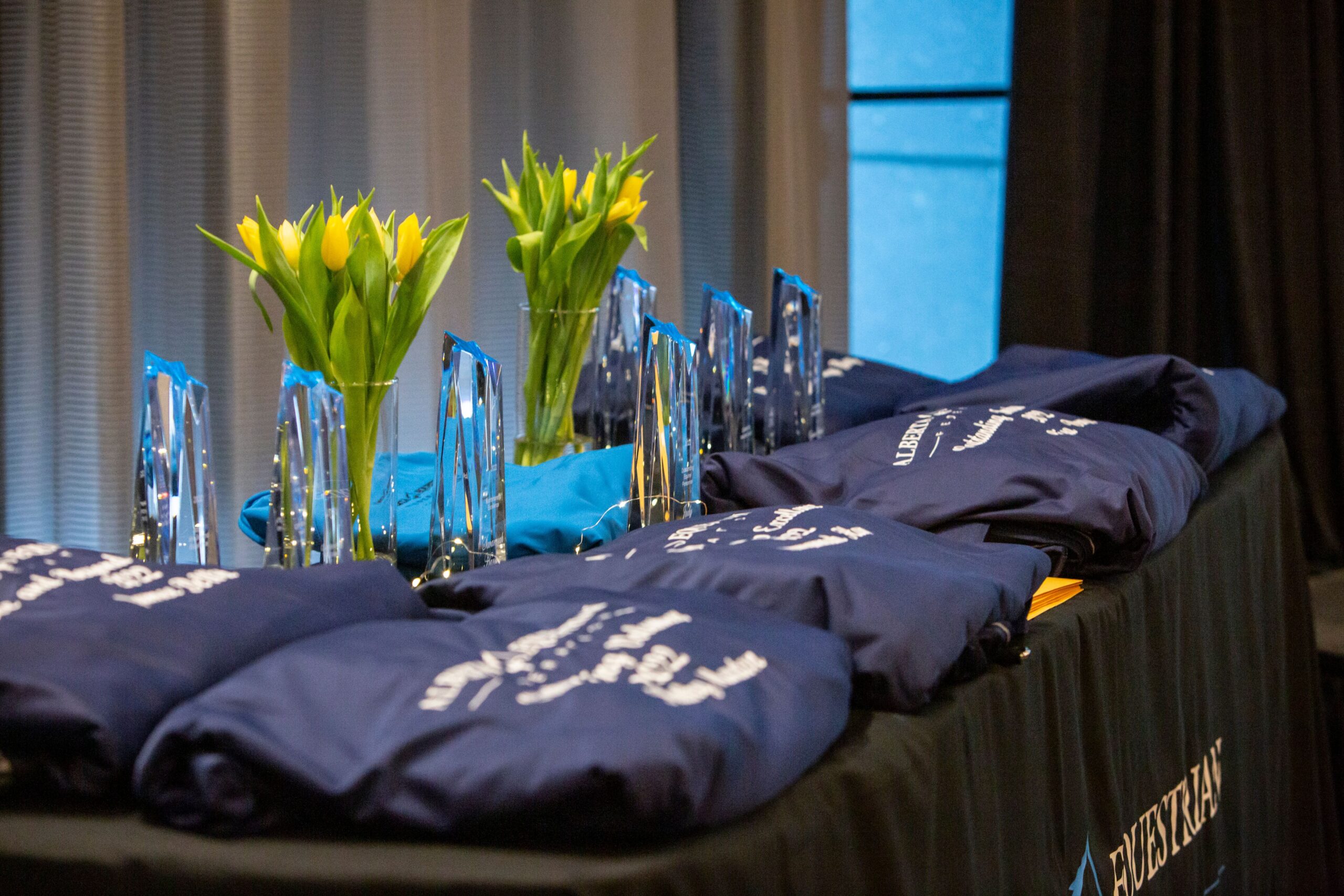 Annual Awards trophies and cooler sheets