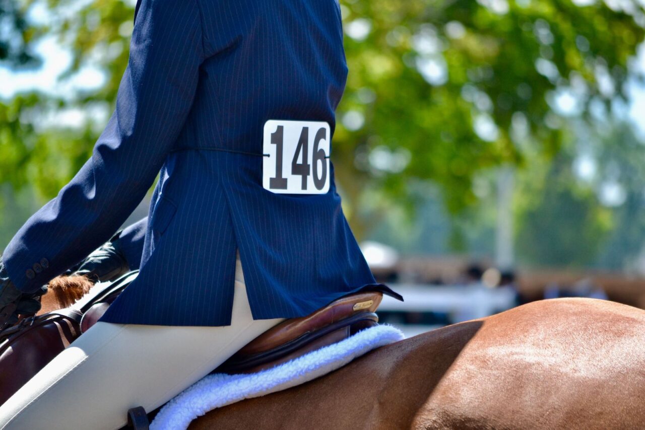Wild Rose Competitions Offer More for 2024
