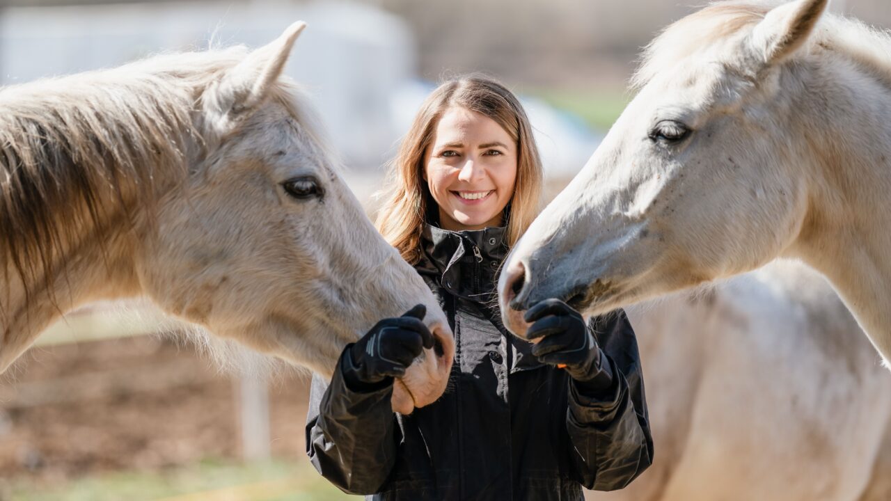 Lady smiling with two greys horses