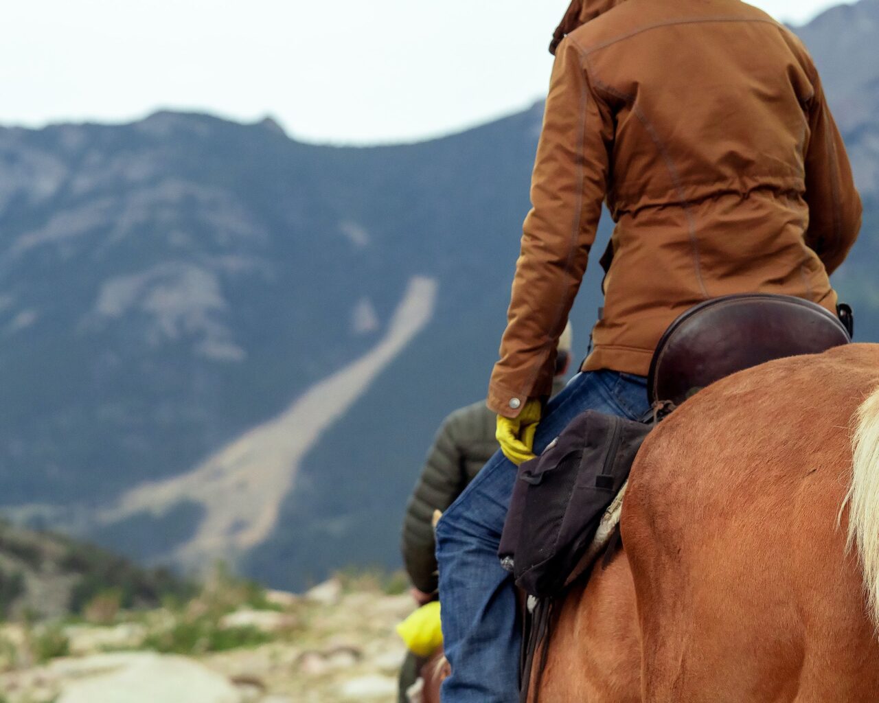 Hosting Group Activities on Public Land