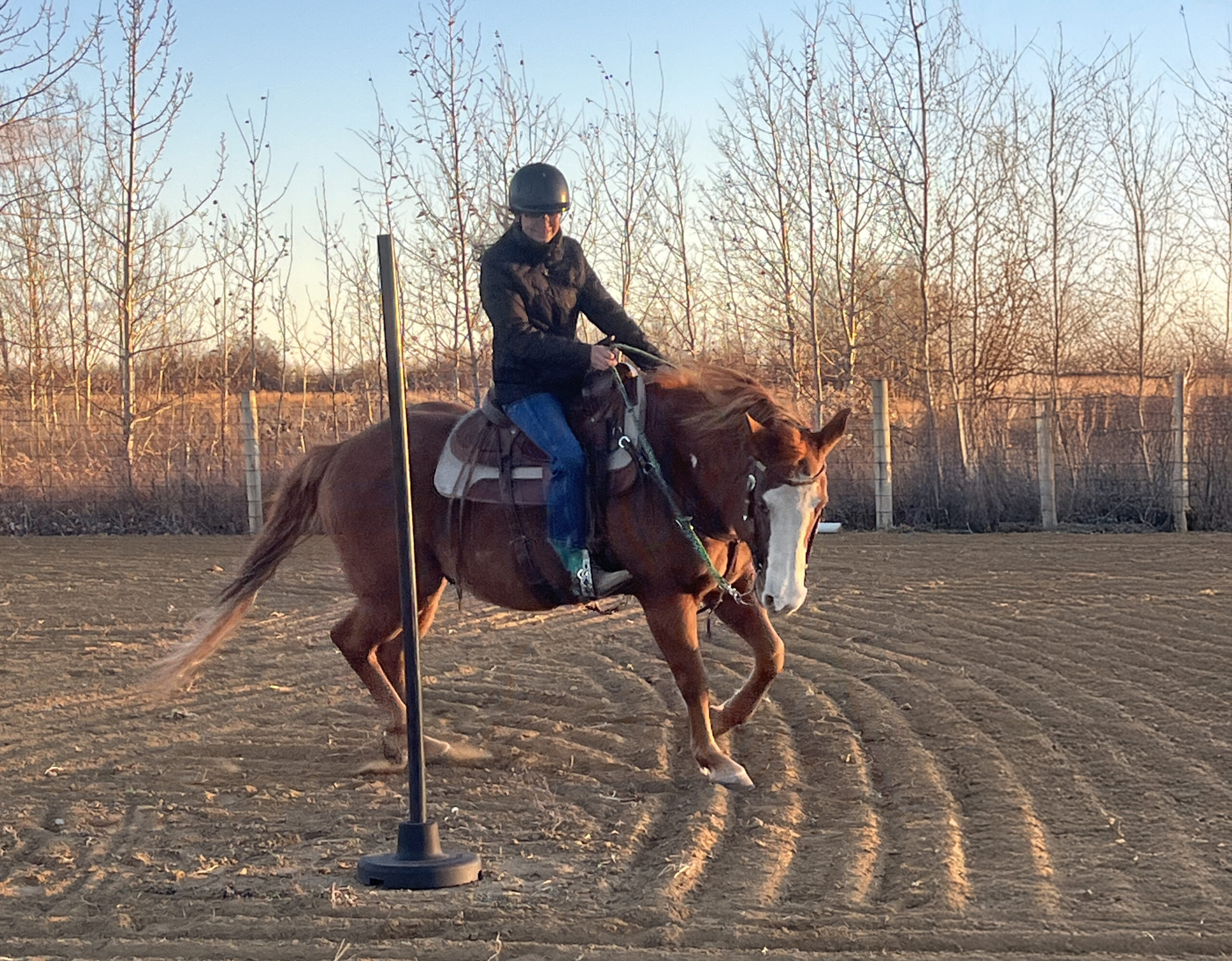 Hazel Gray Receives Marlene Waldner Western Youth Bursary