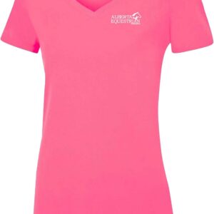 Women's V-Neck T-Shirt - Image 1