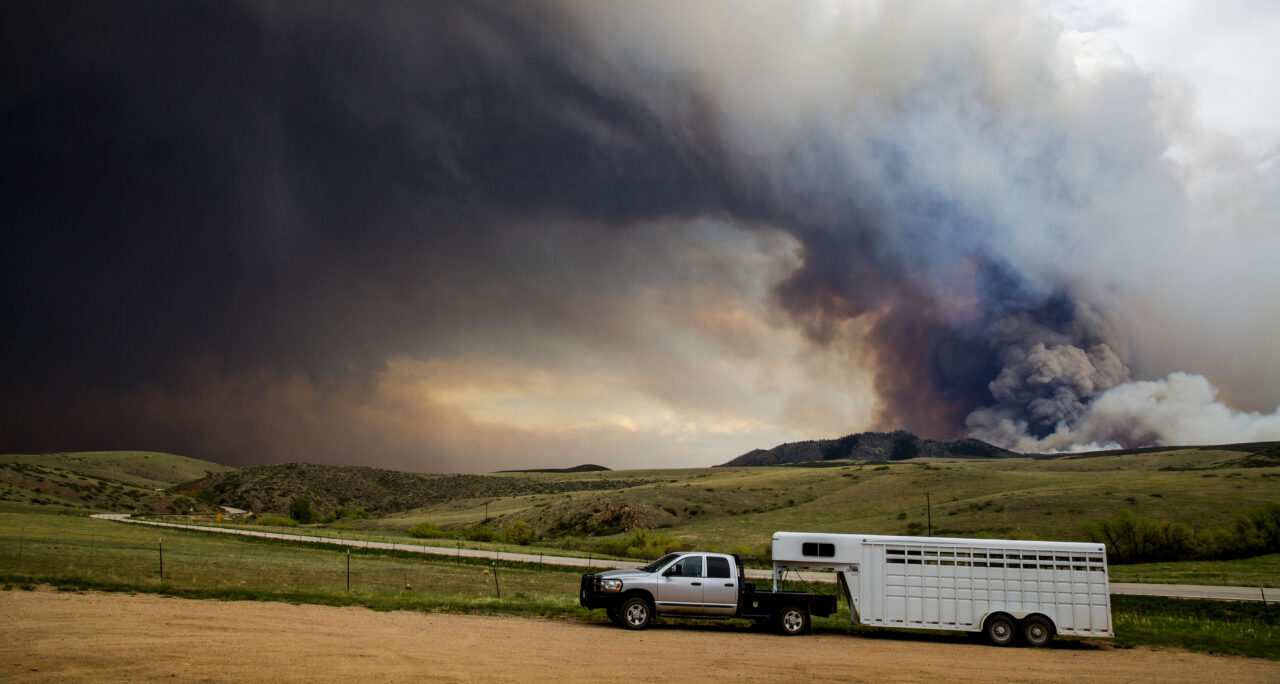 Equine Emergency Disaster Fund Applications Open May 15, 2026