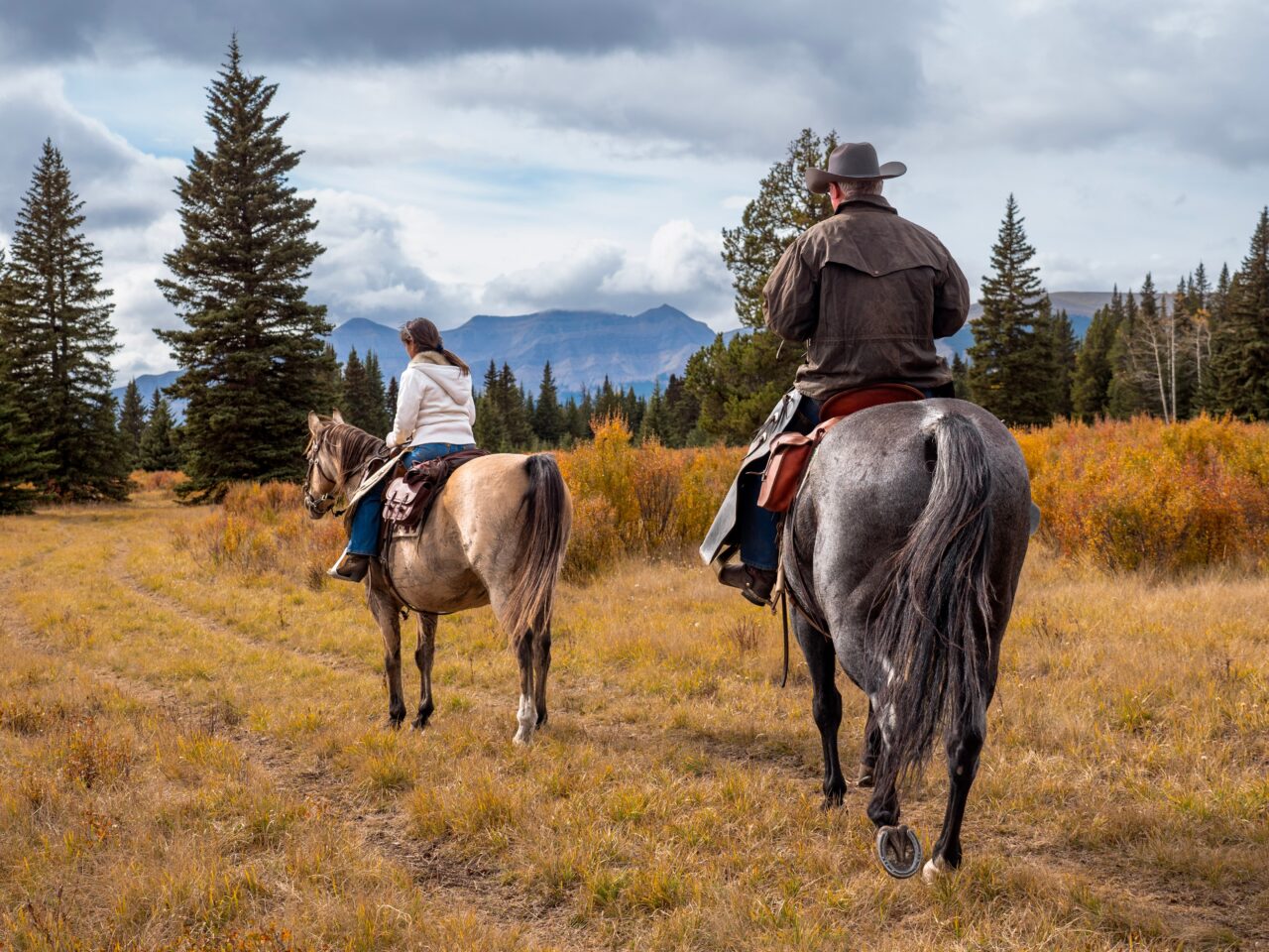 Alberta Equestrian Federation Named Trail Manager