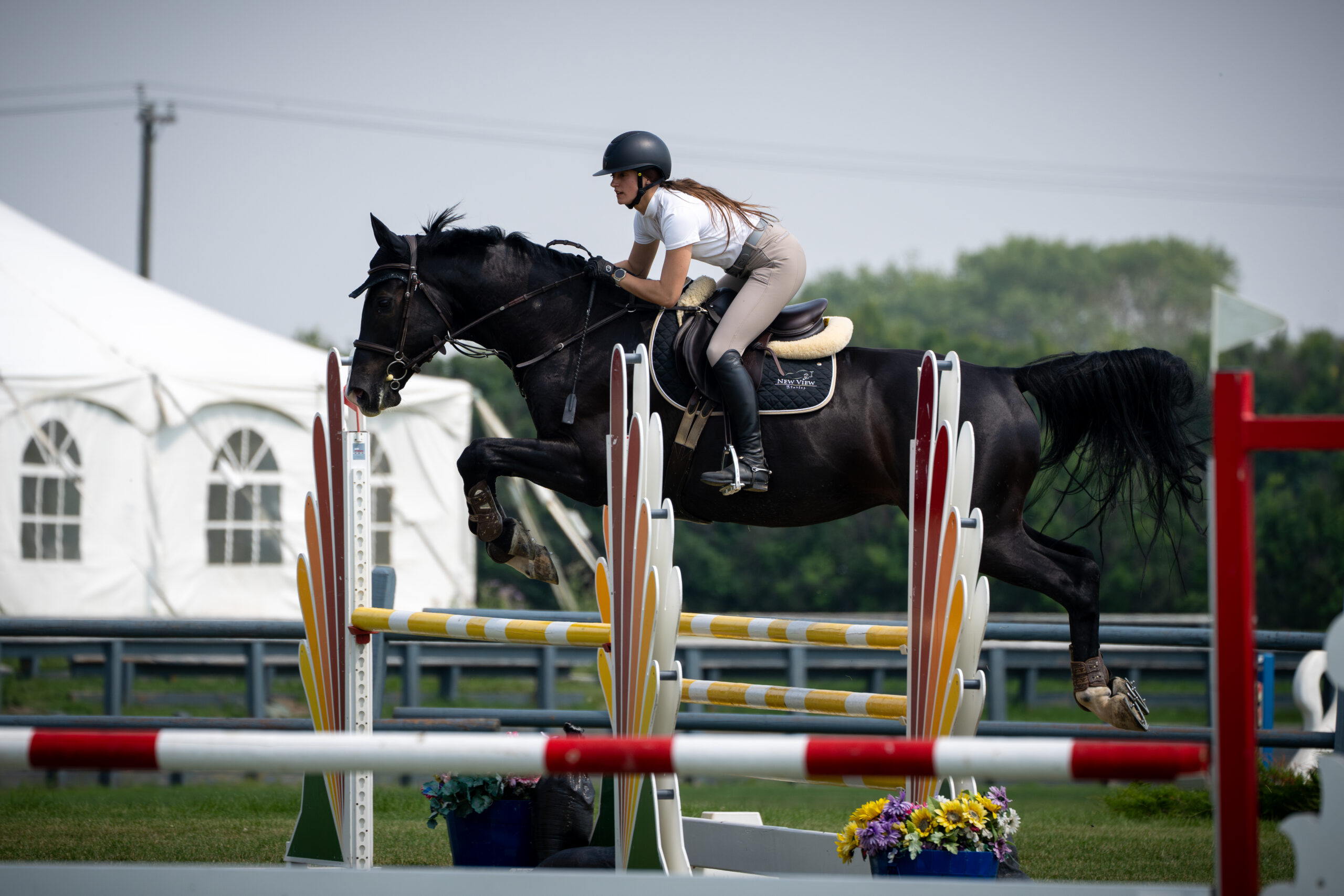 AEF Announces Nathalie Drzewiecki as Recipient of Individual Funding Support