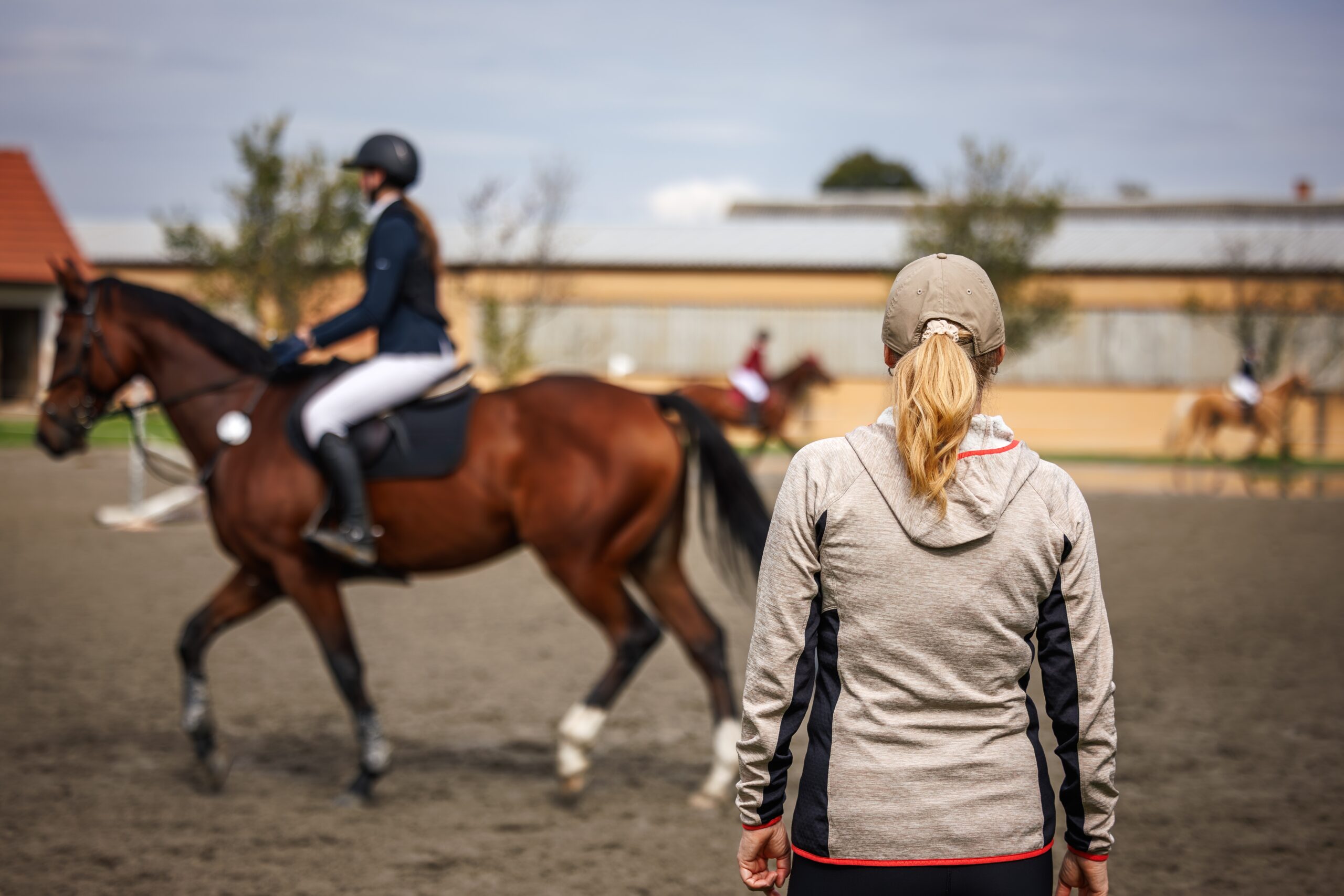 AEF Announces 2026 NCCP Coaching Pathway Updates and Event Schedule